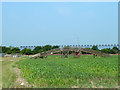 Wooden bridge at Haguelands Farm