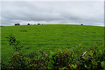 H4178 : Green fields and an overcast sky, Gortnacreagh by Kenneth  Allen