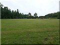 Playing field, Iris Brickfield Park, Newcastle upon Tyne