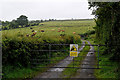 Gate and rough lane, Gortinagin