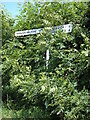 TG1520 : Signpost on Haveringland Road by Geographer