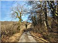 The minor road on the south side of the Afon Llugwy