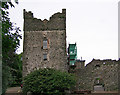 T0516 : Castles of Leinster: Killiane, Wexford (1) by Garry Dickinson