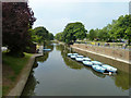 Royal Military Canal, Hythe