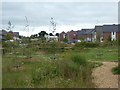 Trees in Redhayes Green Corridor, Minerva housing estate