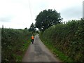 Cyclist on Mosshayne Lane