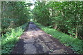 Bridleway through Worley