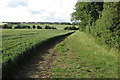 Footpath by Barton