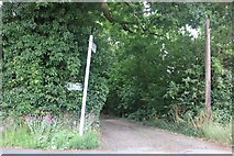 TQ6695 : Path at the end of Linda Gardens, Billericay by David Howard