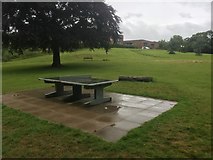 NT2770 : Table tennis table, Inch Park by Richard Webb