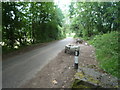 Lane on the Geopark Way (Astley)