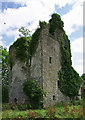 S3764 : Castles of Leinster: Kilrush, Kilkenny by Garry Dickinson