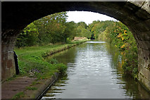 SJ8317 : Shropshire Union Canal near Church Eaton in Staffordshire by Roger  D Kidd