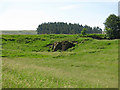 Old lime kiln near Birkshaw (3)