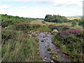 Llwybr yn rhydio nant / Path fording a stream