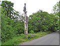 Dead tree at the roadsdie