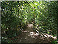 Footpath from Maidenbower Drive to old railway