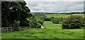 From the top of Royd Hill