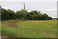 TQ6497 : Field by Padham's Green Road by David Howard