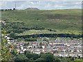 Brith-Weunydd above Trealaw