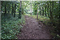 Path leading to Thimblehall Lane