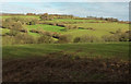 Valley near Withiel Florey