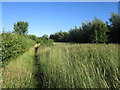 Footpath at Hargrave