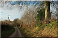 Lane past Swansea Farm