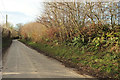 Lane near Cophole Farm