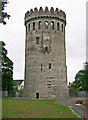 R8679 : Castles of Munster: Nenagh, Tipperary (1) by Garry Dickinson