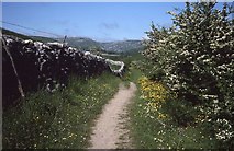 SD9061 : The Pennine Way approaching Malham by Philip Halling