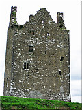 R8341 : Castles of Munster: Oola, Limerick by Garry Dickinson