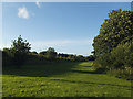 Farsley Community Orchard: upper field from the northern end