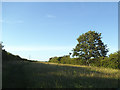 Green space adjacent to Leeds ring road