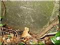 Benchmark on the retired church of East Lydford