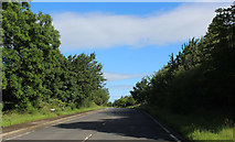 SE4334 : Great North Road heading North from Micklefield by Chris Heaton