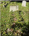 The grave of Sgt Ian Clenshaw at Kelvedon