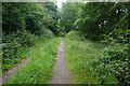 Sleights Lane towards Violet Grove Farm