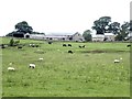 NZ0288 : Tut Hill Farm by Oliver Dixon