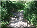 The path turns across the Barton Brook