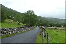 NY3006 : B5343 in Great Langdale by DS Pugh