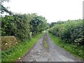 NZ0585 : Driveway to Todridge Farm by Oliver Dixon