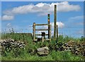 Stile on Barlow Hill, Wincle