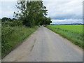 Road enclosed by hedge, trees and arable field approaching Chapel Cottage