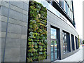 Green wall on the School of Creative Arts