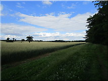 TL0867 : Footpath to Kimbolton by Jonathan Thacker
