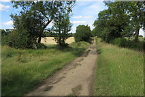 TL0666 : Sandye Lane byway heading for Swineshead Wood by Philip Jeffrey