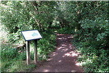 TL0666 : Path into Swineshead Wood by Philip Jeffrey