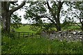 Gate beside Gilts Lane