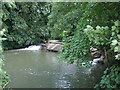 The weir east of West Lydford